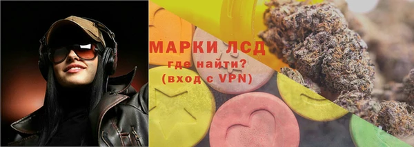 прущие грибы Армянск