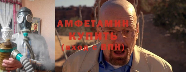 шишки Аркадак