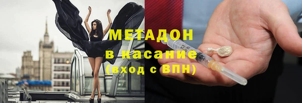 шишки Аркадак