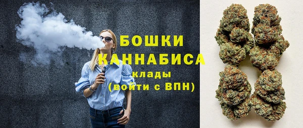 шишки Аркадак
