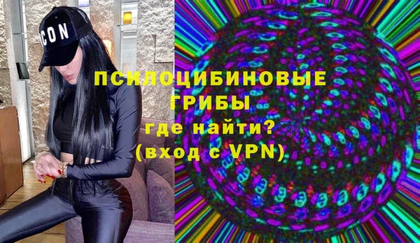 шишки Аркадак