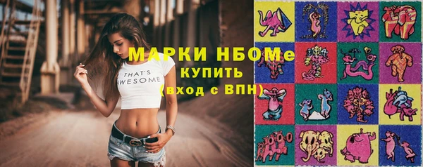 прущие грибы Армянск