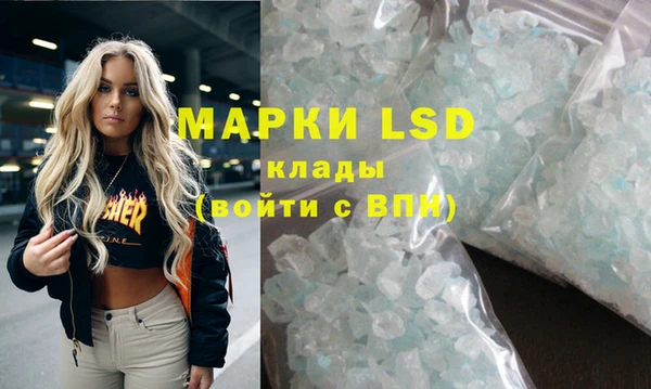 шишки Аркадак