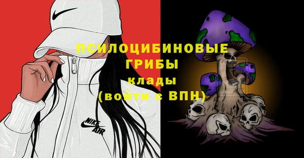 прущие грибы Армянск