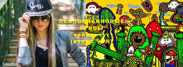 шишки Аркадак