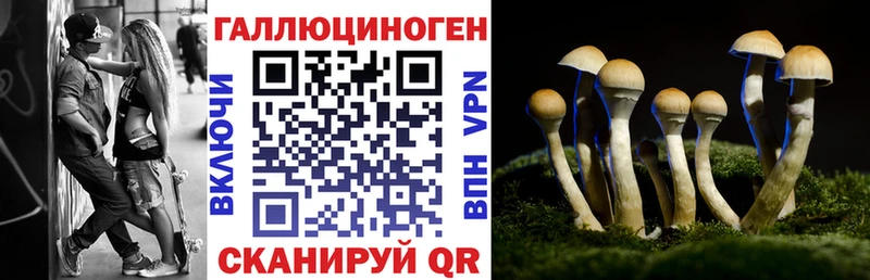 hydra как зайти  Балахна  Псилоцибиновые грибы ЛСД 